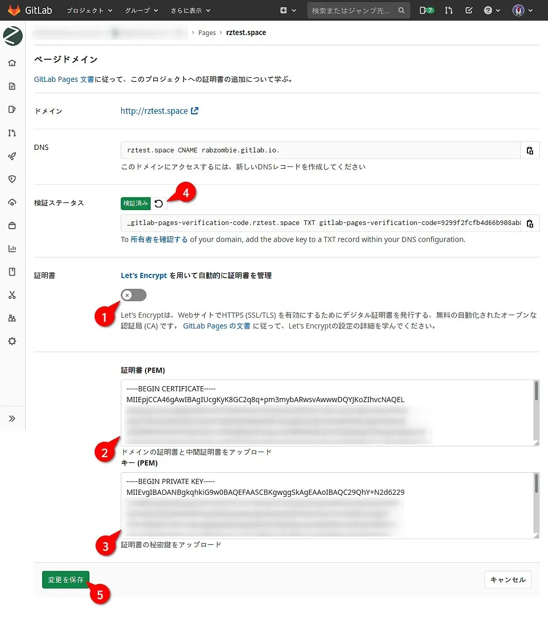 Gitlab Pagesのドメイン設定ページ